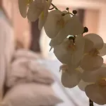 Grand Mir'amor Hotel&spa Hotel 5*