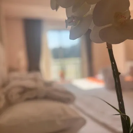 Grand Mir'amor Hotel&spa 호텔