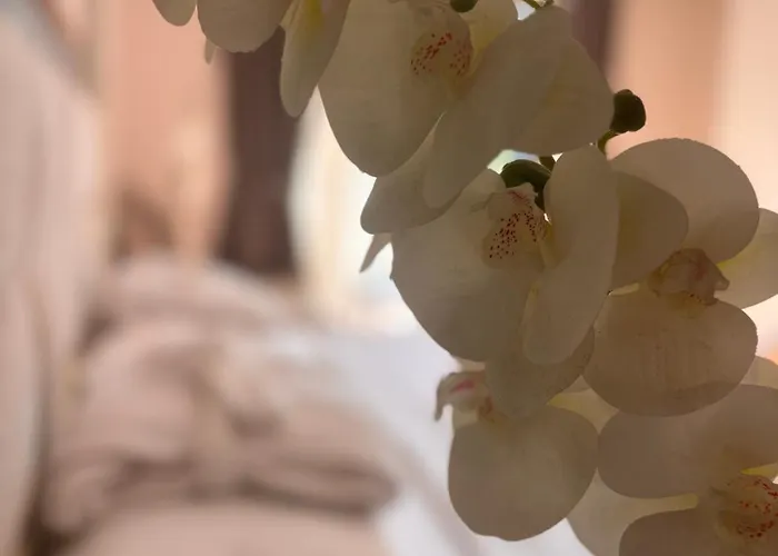 Grand Mir'amor Hotel&spa Hotell 5*