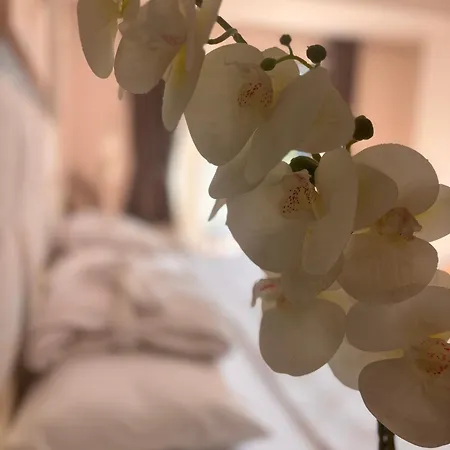 Grand Mir'amor Hotel&spa Hotel 5*